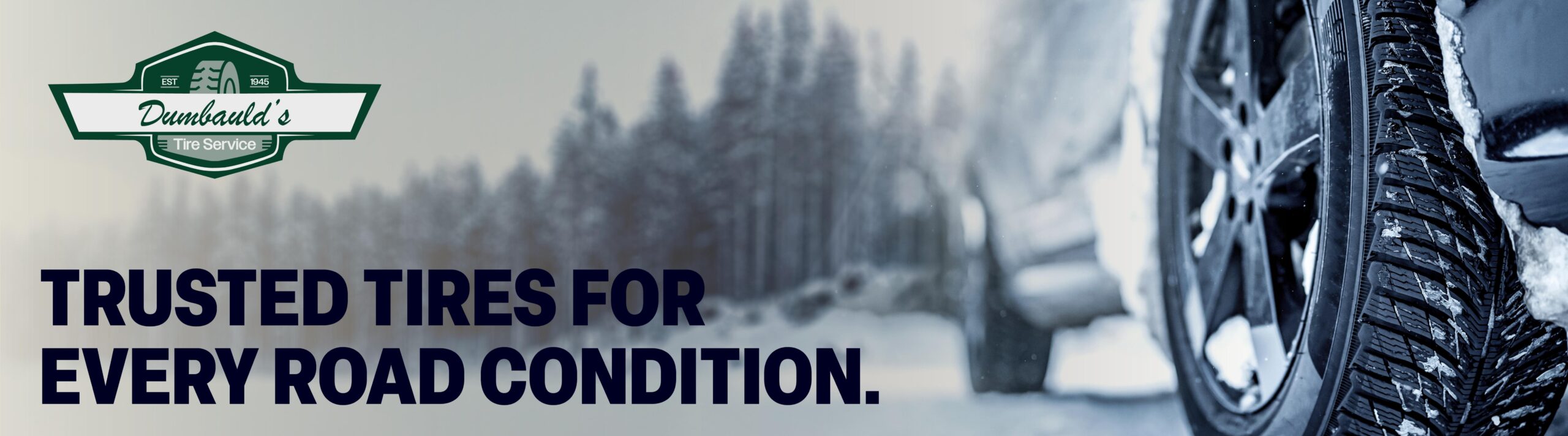 Trusted tires for every road condition.